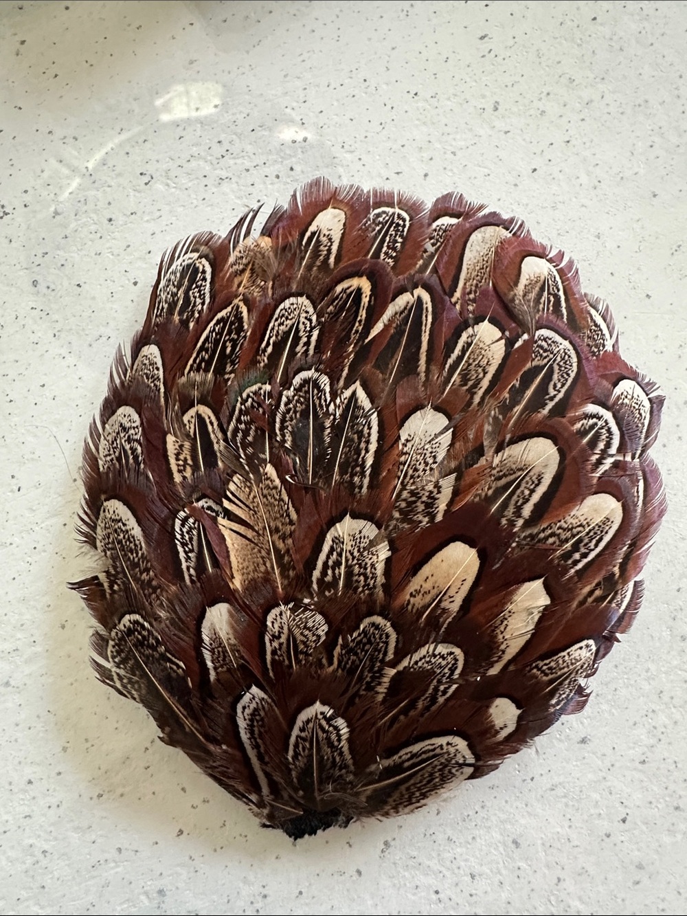 Samantha Sleeper hair comb